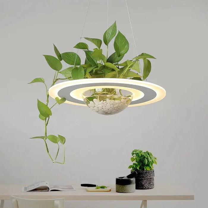 Ragna - Planter Light Table Pendant BO-HA
