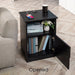Egil - Modern Wide Top Open Shelf Cabinet Nightstand with Charging Station  BO-HA   