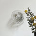 Majlis – Glass Sunburst Wall Light Bauhaus Furniture BO-HA