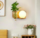 Audhild - Planter Light Wall Sconce  BO-HA   