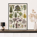 "Lemmikki" Vintage Botanical Prints Canvas Collection  BO-HA   