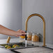 Snara - Modern Kitchen Faucet with Sprayer  BO-HA   