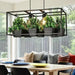 Hemma -  Iron Garden Planter Light Chandelier  BO-HA   