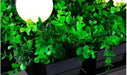 Hemma -  Iron Garden Planter Light Chandelier  BO-HA   