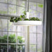 Lagerfeld - Nordic Pendant Planter Light  BO-HA   