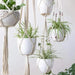 Macrame - Plant Hangers  BO-HA   