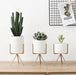 Ida - Ceramic Flower Planters with Modern Stand  BO-HA   